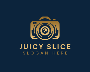 Picture Photo Camera logo design