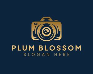 Picture Photo Camera logo design