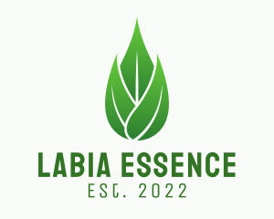 Leaf Essential Oil logo design