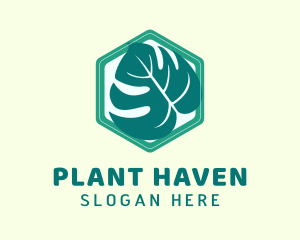 Hexagon Ornamental Plant logo design