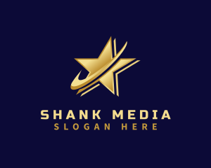 Professional Star Media logo design