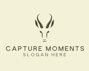 Wild Springbok Sanctuary Logo