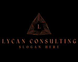 Premium Triangle Business logo design