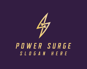 Lightning Plug Electric logo