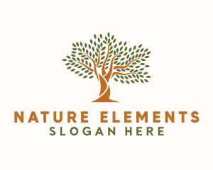 Natural Forest Tree logo design