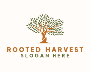 Natural Forest Tree logo design