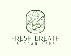 Green Acorn Leaf  logo design