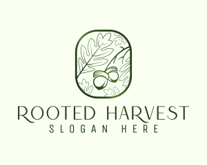 Green Acorn Leaf  logo design