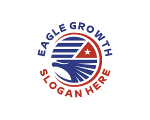 United States Eagle Flag logo design