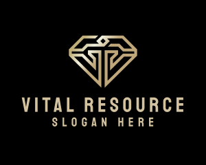 Modern Luxury Diamond Logo