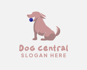 Pet Ball Dog logo design