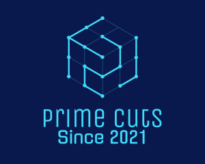 Blue Digital Cube  logo design