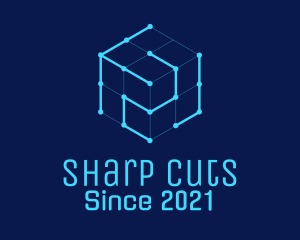 Blue Digital Cube  logo design