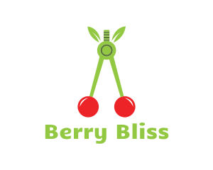 Cherry Fruit Compass logo