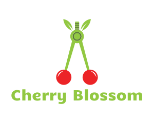 Cherry Fruit Compass logo design