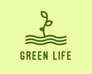 Green Plant Seedling  logo design