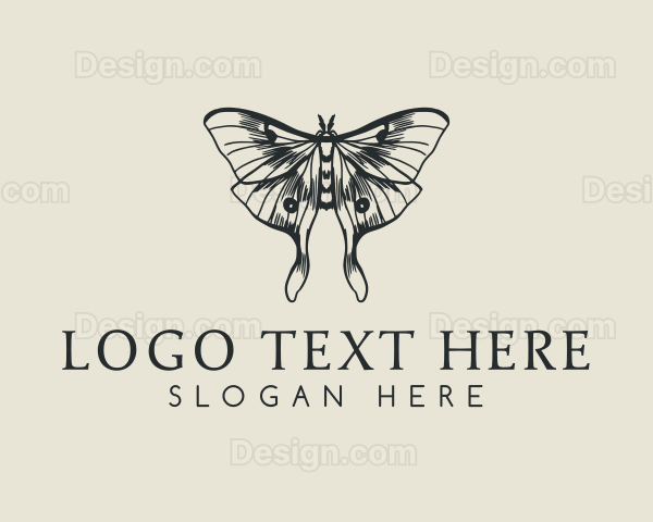 Moth Insect Sketch Logo