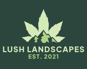 Cannabis Mountain Plantation  logo