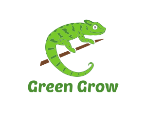 Green Chameleon Zoo logo design