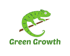 Green Chameleon Zoo logo design