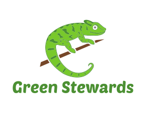 Green Chameleon Zoo logo design