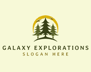 Natural Pine Tree Forest logo design