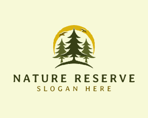 Natural Pine Tree Forest logo design