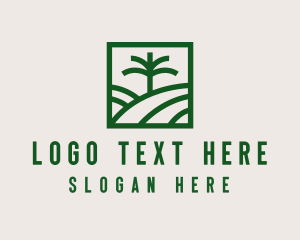 Palm Tree Field logo