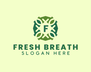 Eco Friendly Nature Leaf  logo design