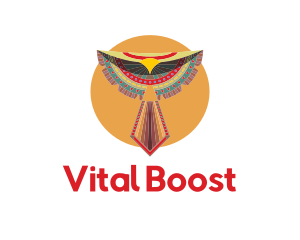 Sun Tribal Bird logo design