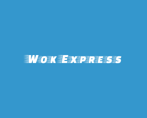 Fast Speed Express logo design