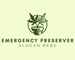 Organic Marijuana Plant logo design