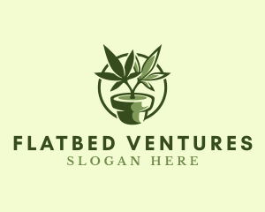 Organic Marijuana Plant logo design