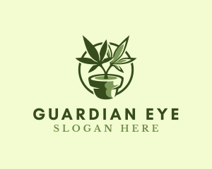 Organic Marijuana Plant logo design