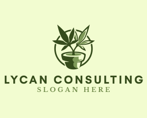 Organic Marijuana Plant logo design