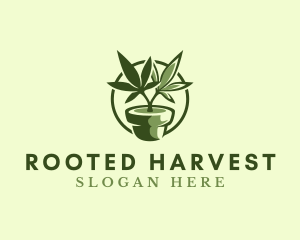 Organic Marijuana Plant logo design