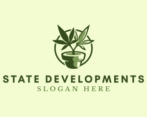 Organic Marijuana Plant logo design