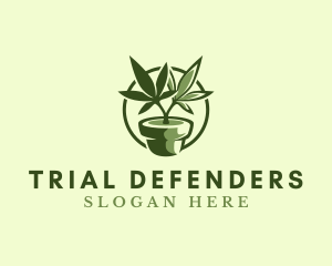 Organic Marijuana Plant logo design