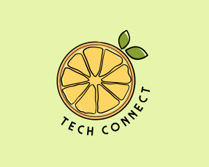 Fresh Orange Slice Logo