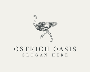 Ostrich Bird Wildlife logo