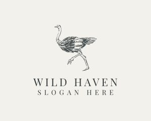 Ostrich Bird Wildlife logo design