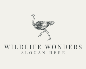 Ostrich Bird Wildlife logo design