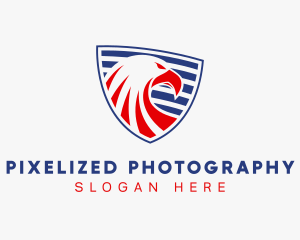 Military American Eagle Shield logo design