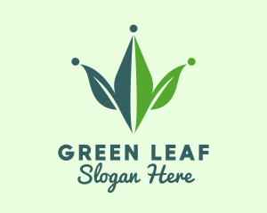 Natural Herb Crown logo design