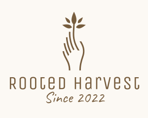 Brown Hand Plant  logo design