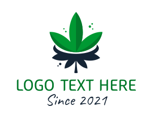 Marijuana Leaf Plant  logo