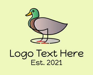 Mallard Duck Farm logo