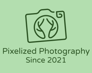 Camera Lens Branches logo design