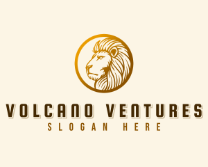 Professional Lion Business logo design