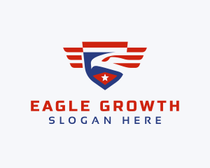 USA Eagle Bird Shield logo design